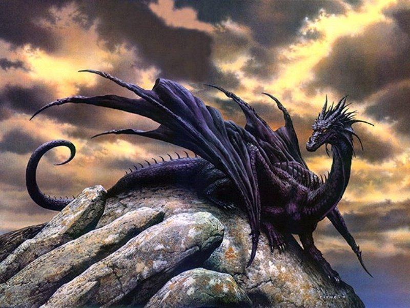 black-dragons.jpg